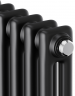 Стальной трубчатый радиатор 2-колончатый Royal Thermo Insignia C2180 - 04 секц. RAL9005m, боковое 1/2