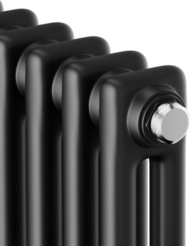 Стальной трубчатый радиатор 2-колончатый Royal Thermo Insignia C2180 - 06 секц. RAL9005m, боковое 1/2
