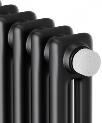 Стальной трубчатый радиатор 2-колончатый Royal Thermo Insignia VC2180 - 04 секц. RAL9005m, нижнее 1/2