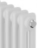 Стальной трубчатый радиатор 2-колончатый Royal Thermo Insignia VC2180 - 12 секц. RAL9016, нижнее 1/2